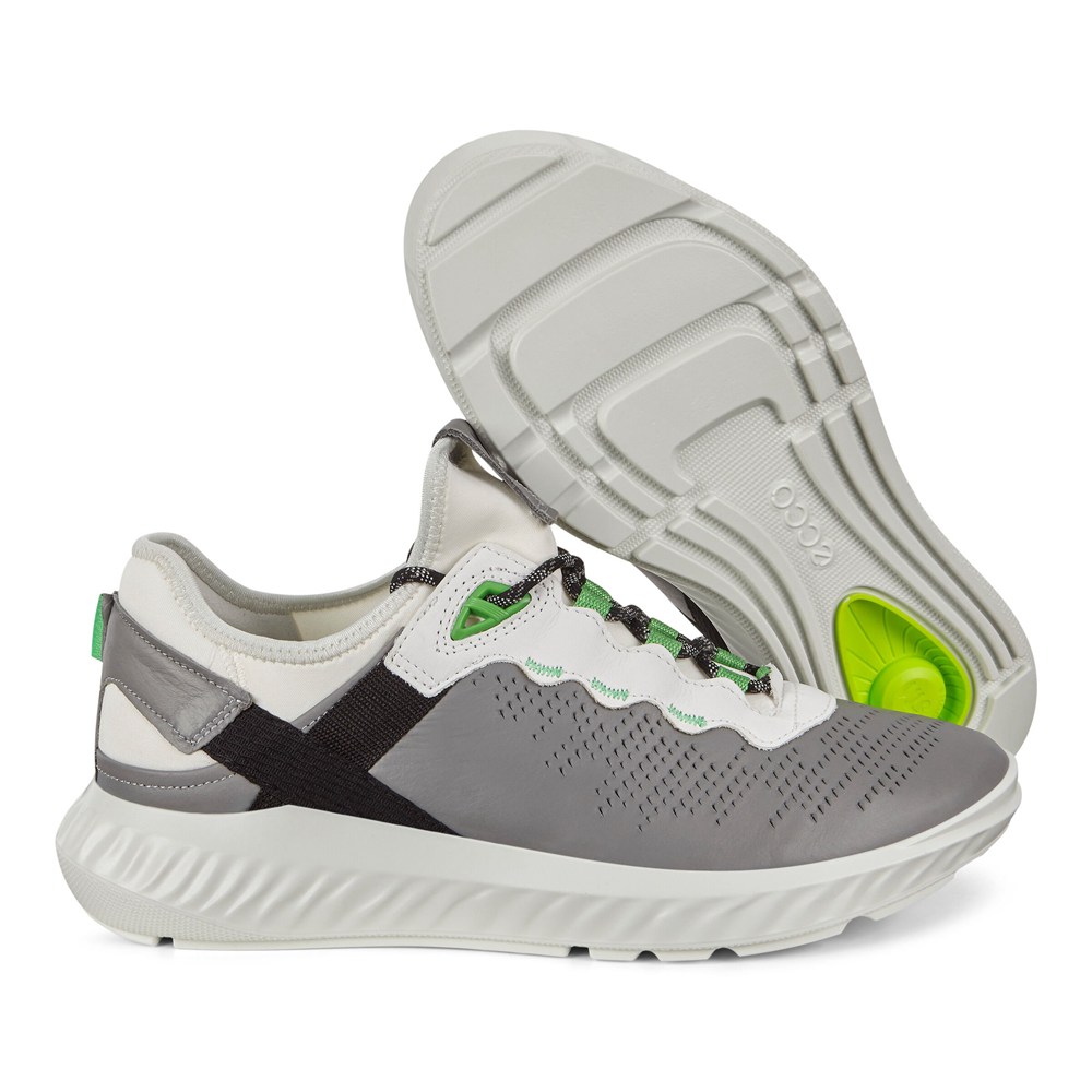 Tenis Hombre - ECCO St.1 Lites - Grises/Blancos - ZQJ081253